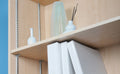 233™ Surface-Mount Steel Pilaster Shelf Standard